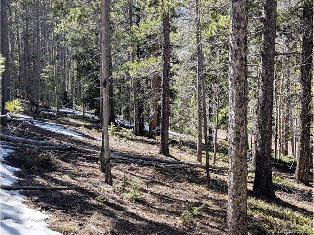 3323 Purnell Ln, Fort Garland, CO 81133