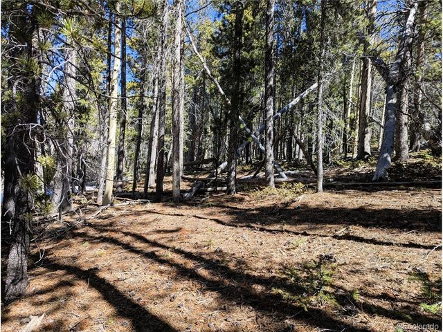 3323 Purnell Ln, Fort Garland, CO 81133
