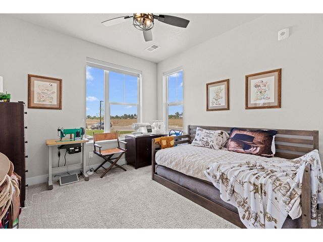 6825 Maple Leaf Dr 102, Timnath, CO 80547