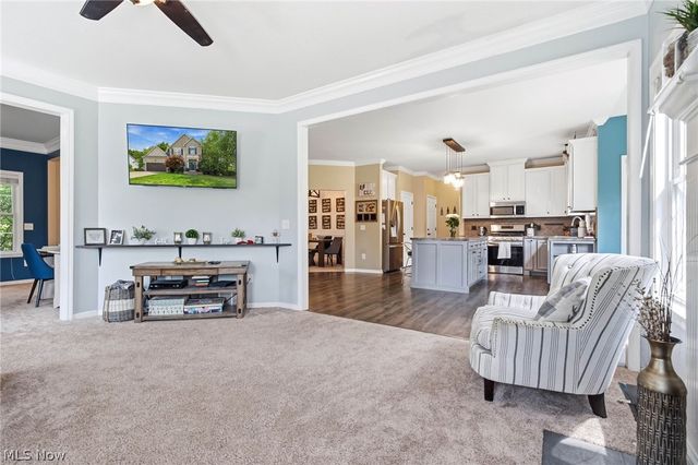 5859 Trystin Tree Drive, Medina, OH 44256