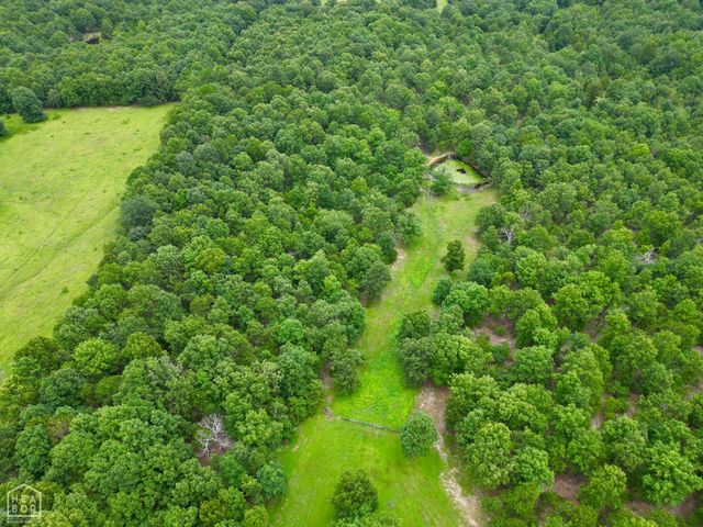 1463 Browns Chapel Rd, Viola, AR 72583