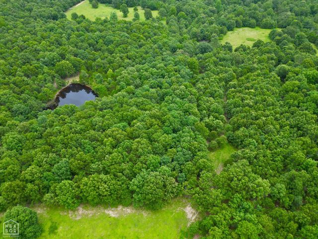 1463 Browns Chapel Rd, Viola, AR 72583