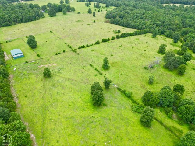 1463 Browns Chapel Rd, Viola, AR 72583