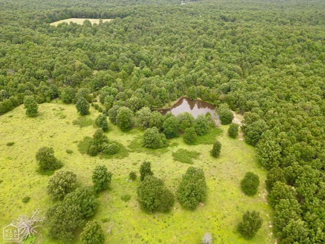 1463 Browns Chapel Rd, Viola, AR 72583