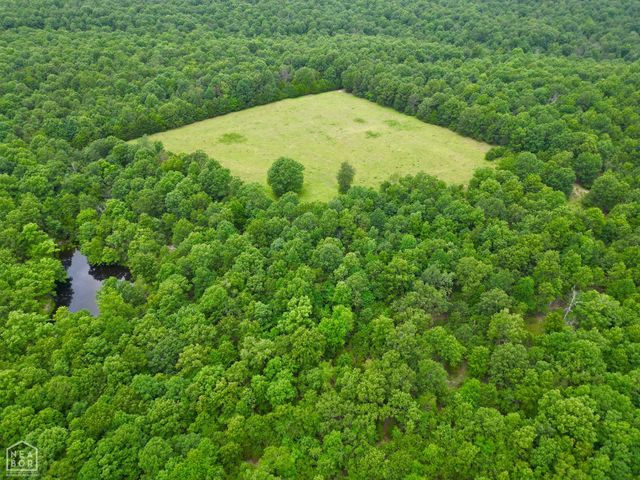 1463 Browns Chapel Rd, Viola, AR 72583