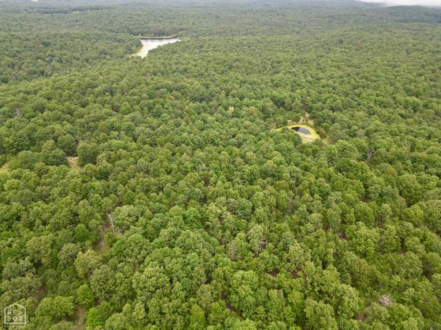 1463 Browns Chapel Rd, Viola, AR 72583