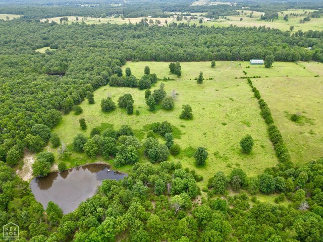 1463 Browns Chapel Rd, Viola, AR 72583