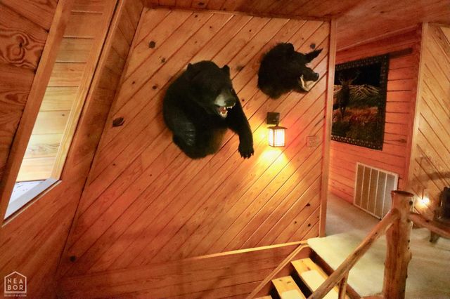 1463 Browns Chapel Rd, Viola, AR 72583