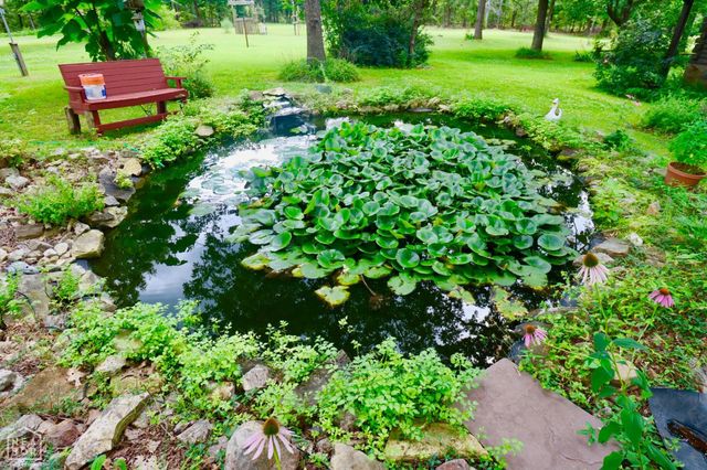 1463 Browns Chapel Rd, Viola, AR 72583