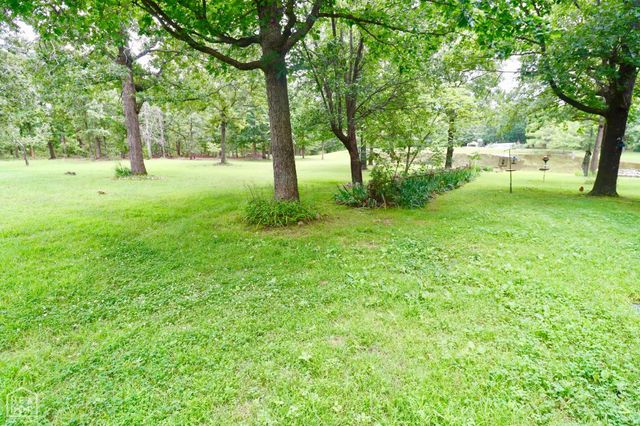 1463 Browns Chapel Rd, Viola, AR 72583