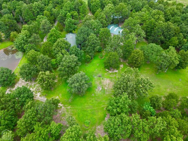 1463 Browns Chapel Rd, Viola, AR 72583