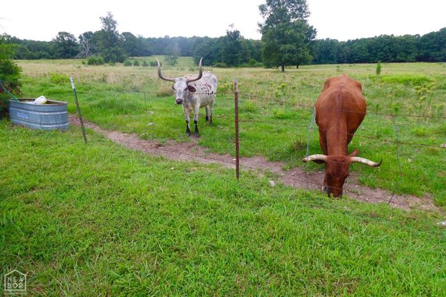 1463 Browns Chapel Rd, Viola, AR 72583