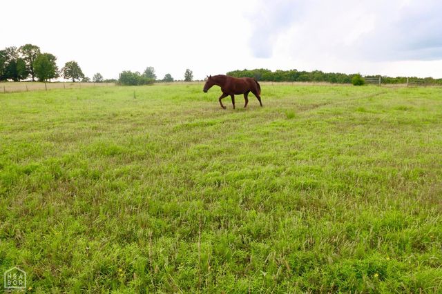 1463 Browns Chapel Rd, Viola, AR 72583