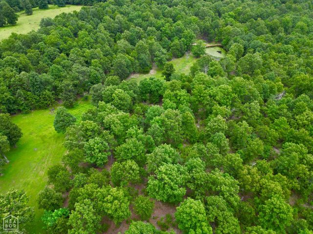 1463 Browns Chapel Rd, Viola, AR 72583