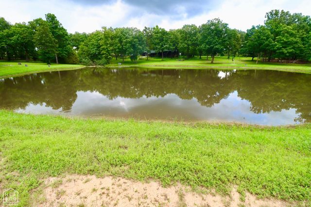 1463 Browns Chapel Rd, Viola, AR 72583