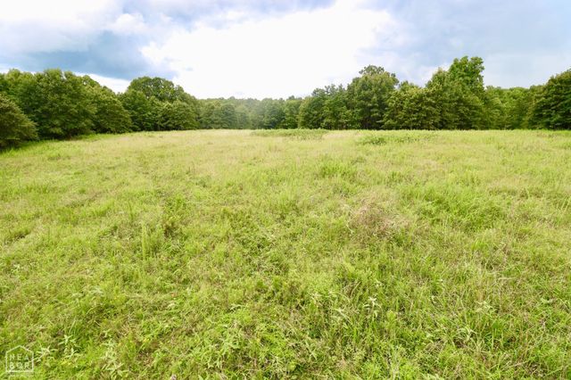 1463 Browns Chapel Rd, Viola, AR 72583