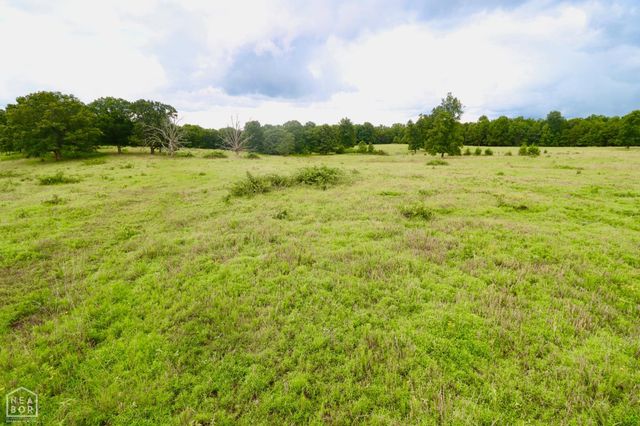 1463 Browns Chapel Rd, Viola, AR 72583