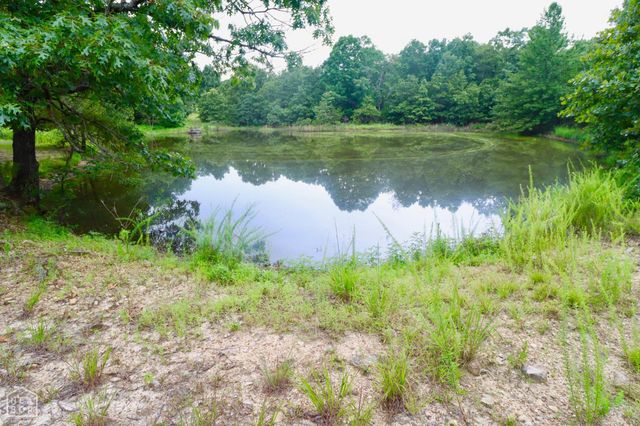 1463 Browns Chapel Rd, Viola, AR 72583