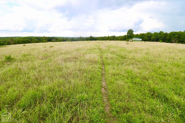 1463 Browns Chapel Rd, Viola, AR 72583