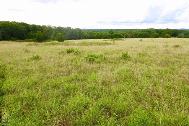 1463 Browns Chapel Rd, Viola, AR 72583