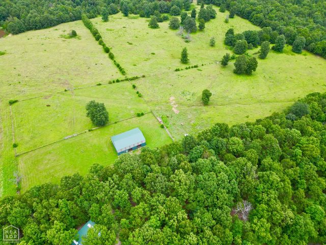 1463 Browns Chapel Rd, Viola, AR 72583
