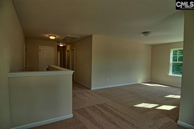 1192 Portrait Hill Drive, Chapin, SC 29036