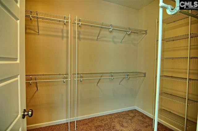 1192 Portrait Hill Drive, Chapin, SC 29036