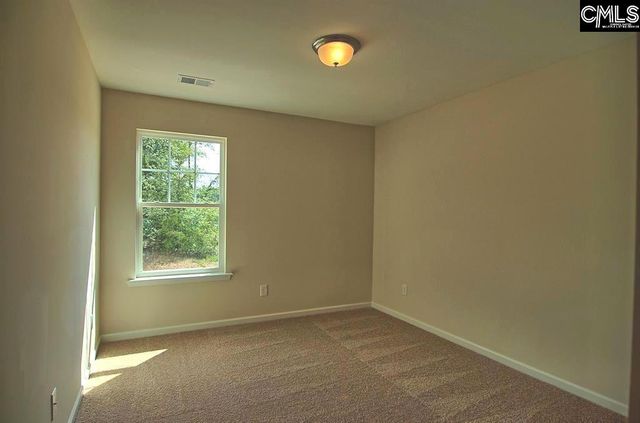 1192 Portrait Hill Drive, Chapin, SC 29036