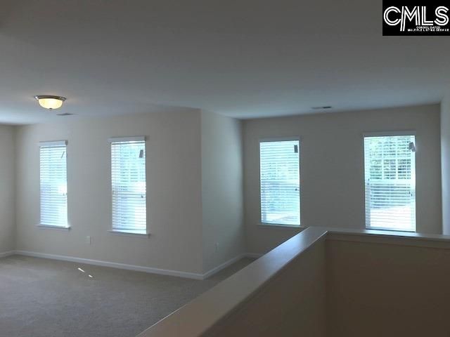 1192 Portrait Hill Drive, Chapin, SC 29036