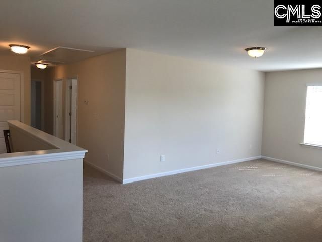 1192 Portrait Hill Drive, Chapin, SC 29036