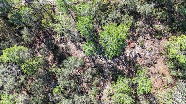 6646 N PERCALE TERRACE, Dunnellon, FL 34433