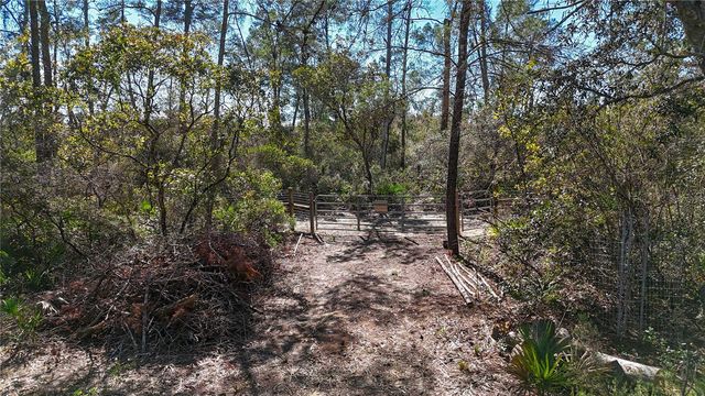 6646 N PERCALE TERRACE, Dunnellon, FL 34433