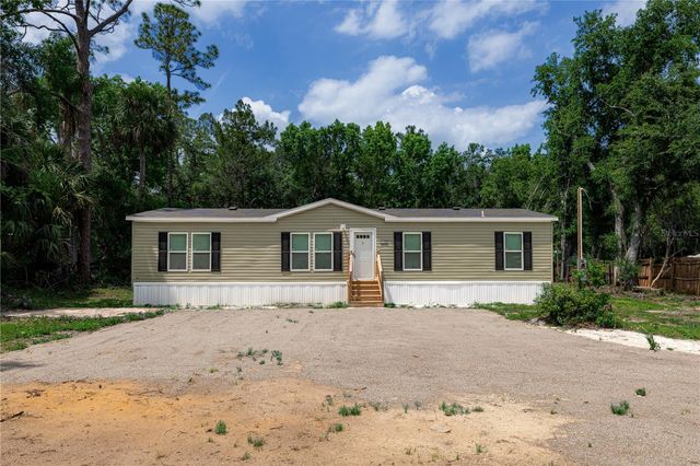 25031 ANTLER STREET, Christmas, FL 32709