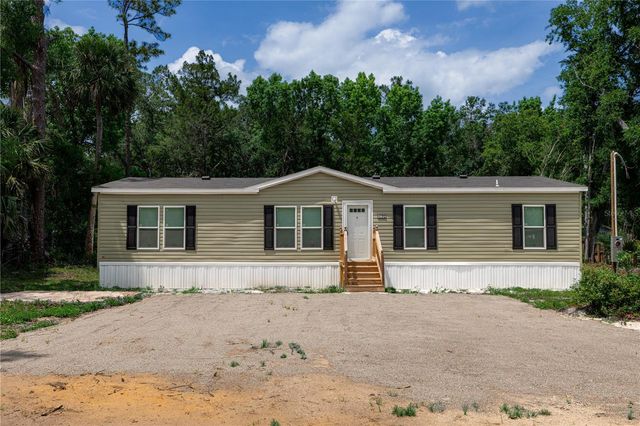 25031 ANTLER STREET, Christmas, FL 32709