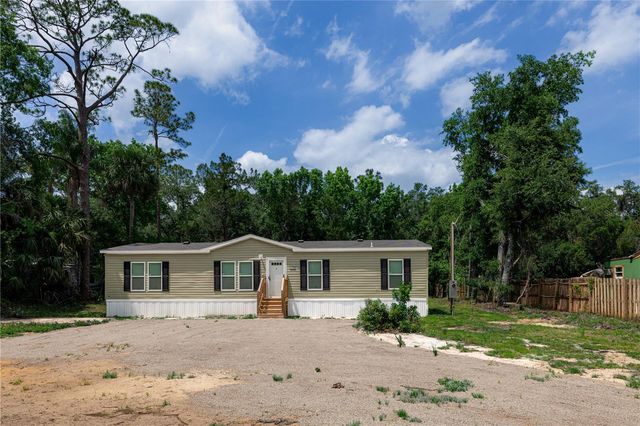 25031 ANTLER STREET, Christmas, FL 32709