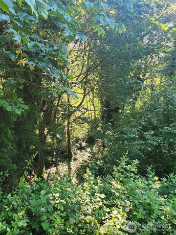 0 Morgan Road NW, Bremerton, WA 98312