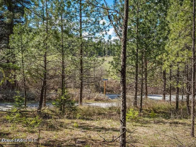 0 Rambling Rose, Post Falls, ID 83854