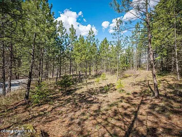 0 Rambling Rose, Post Falls, ID 83854