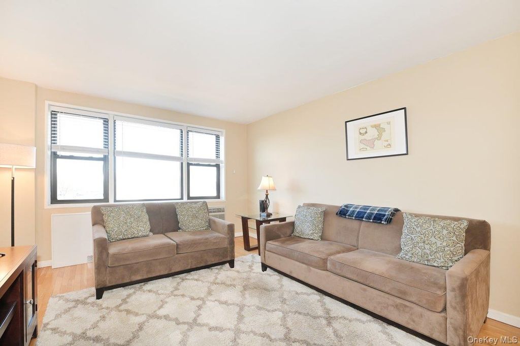 2 Birchwood Court #5H, Mineola, NY 11501 — photo 4