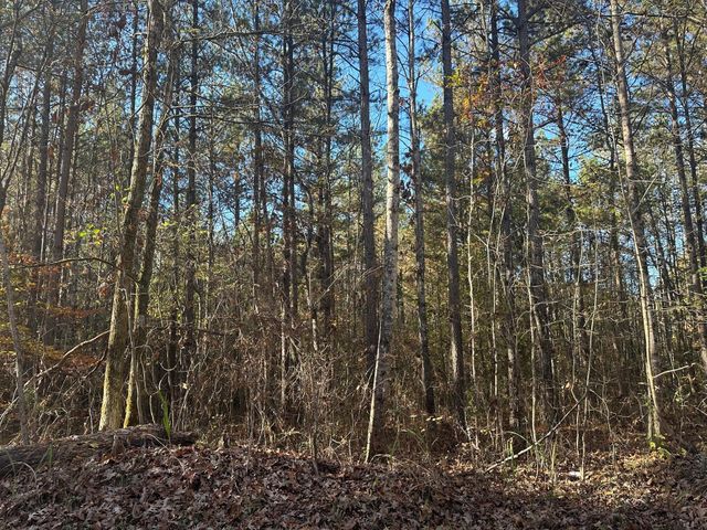 0 Redman Lane, Decatur, TN 37322