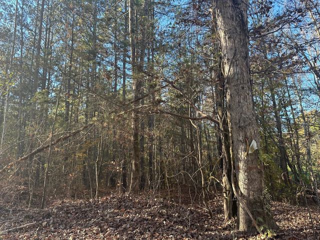 0 Redman Lane, Decatur, TN 37322