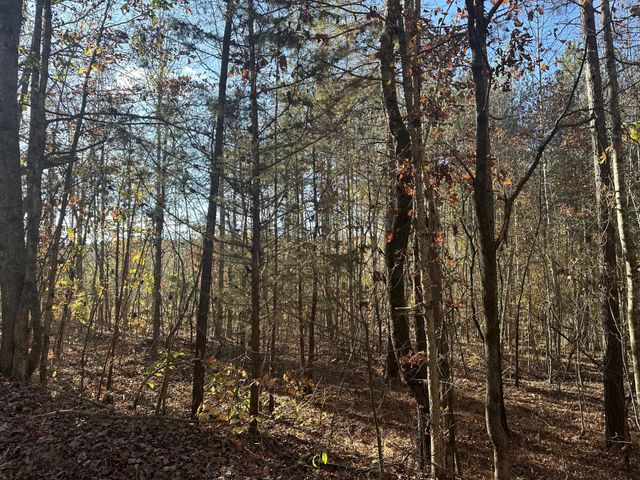 0 Redman Lane, Decatur, TN 37322