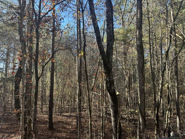 0 Redman Lane, Decatur, TN 37322