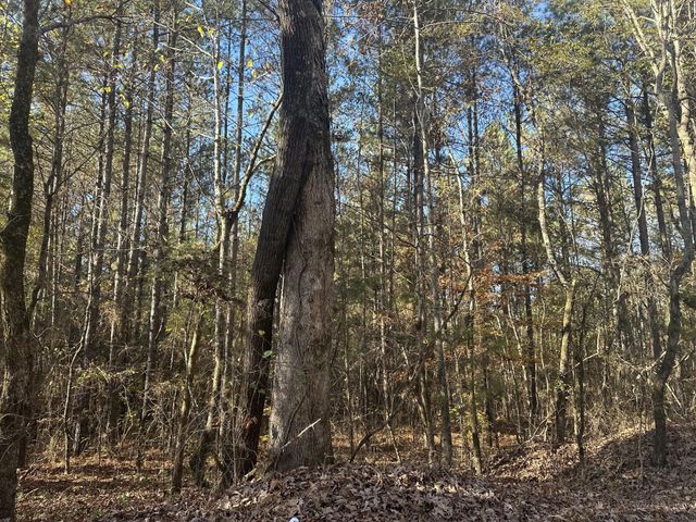 0 Redman Lane, Decatur, TN 37322