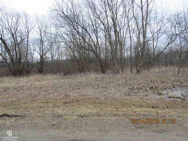00 Armada Ridge B7 Road, Richmond Twp, MI 48062