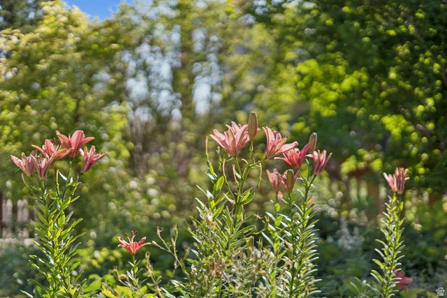 1410 S 300 E, Salt Lake City, UT 84115