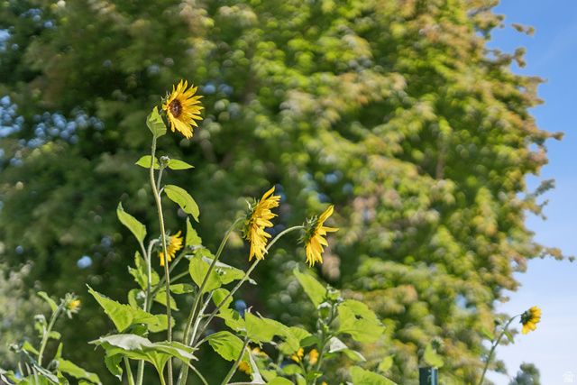 1410 S 300 E, Salt Lake City, UT 84115