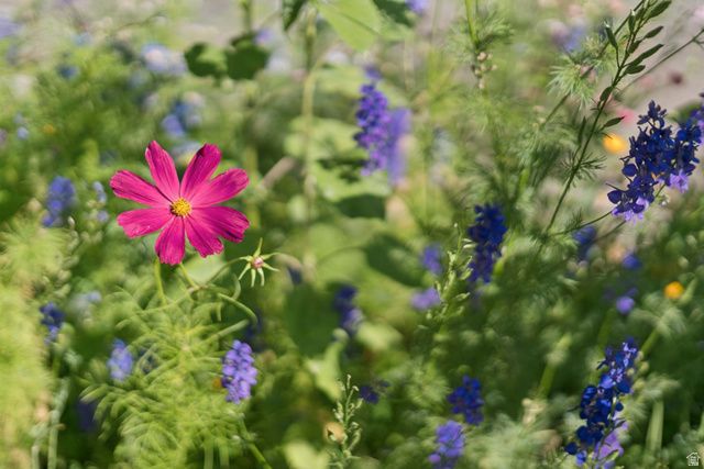 1410 S 300 E, Salt Lake City, UT 84115