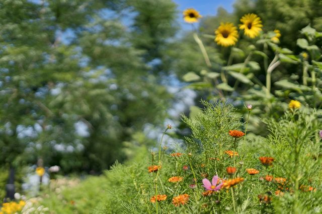 1410 S 300 E, Salt Lake City, UT 84115