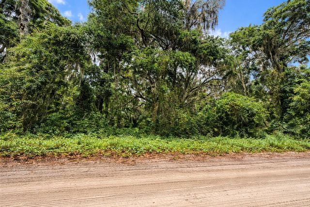 TBD NE 52ND COURT, Anthony, FL 32617